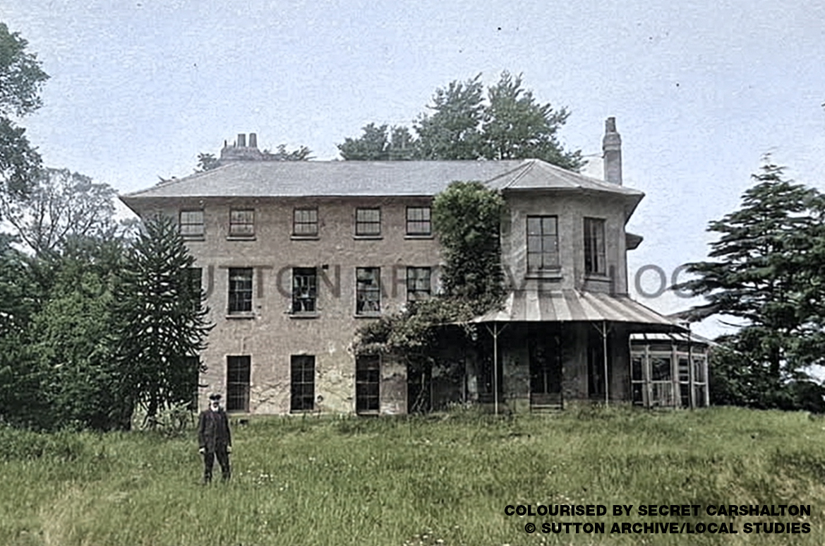 Butter Hill