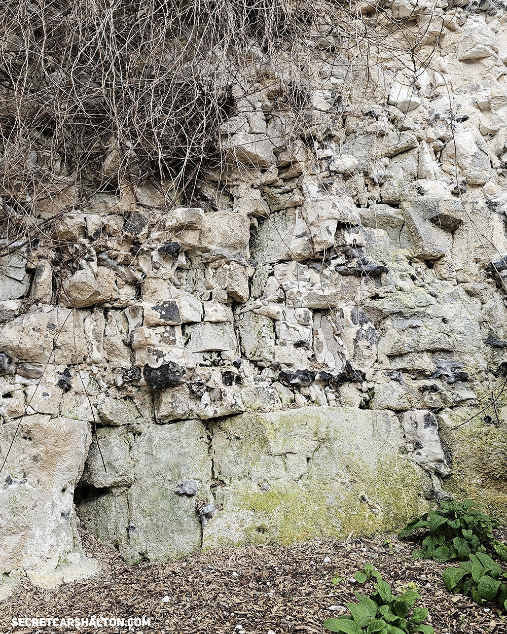 Carshalton Chalk Pit