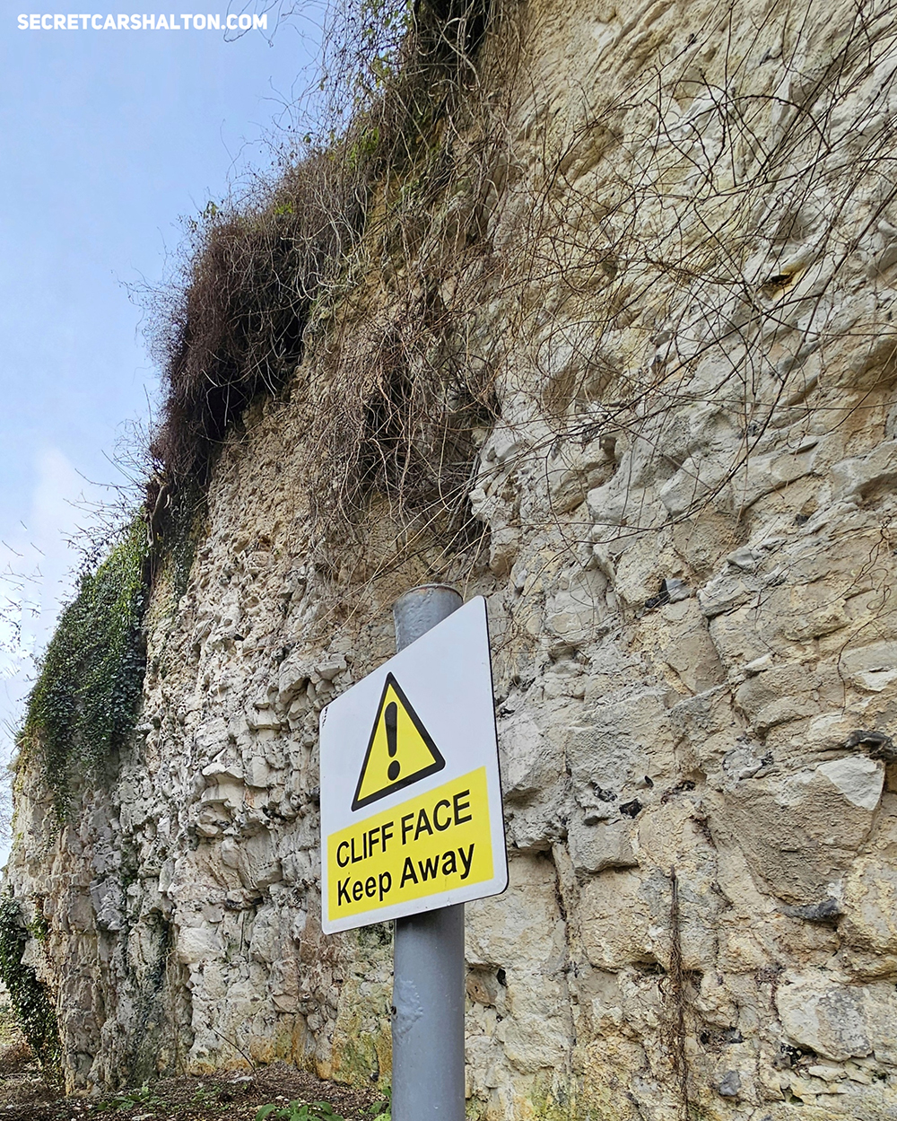 Carshalton Chalk Pit