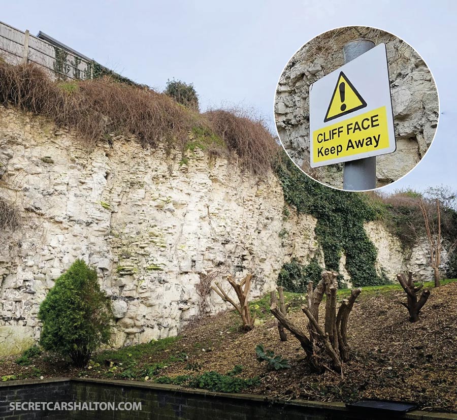 Carshalton Chalk Pit