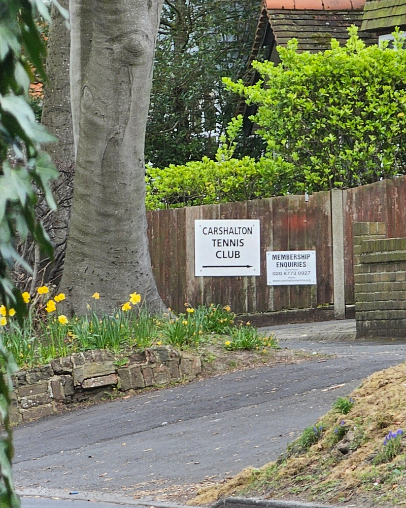 carshalton tennis club