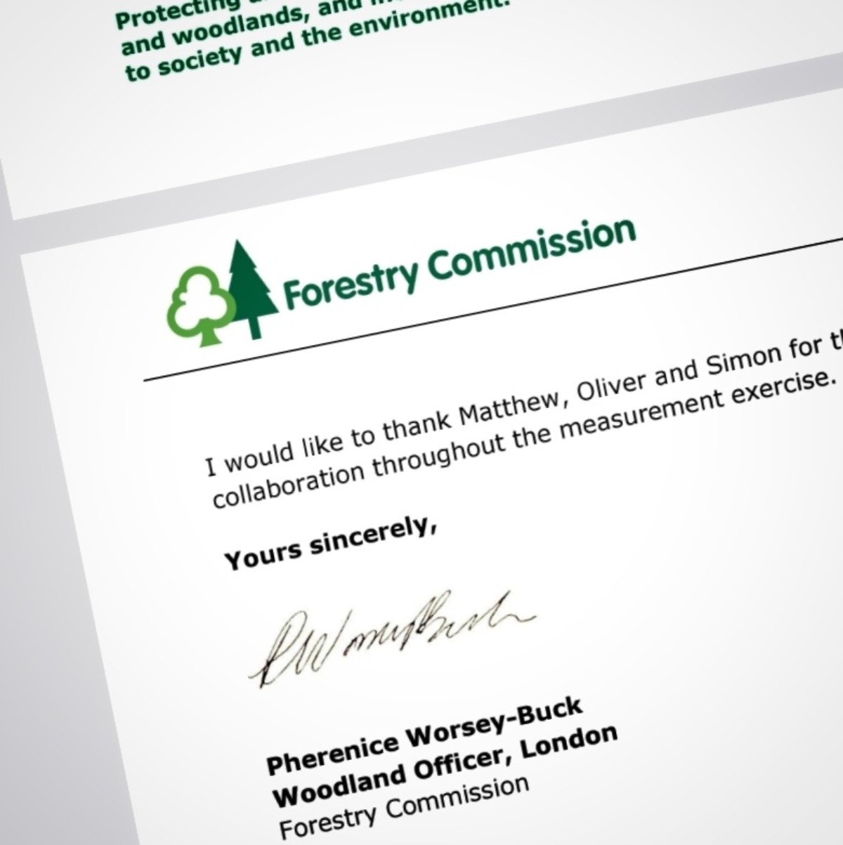 Signed letter from the Forestry Commission's London Woodland Officer confirming the tree measurement