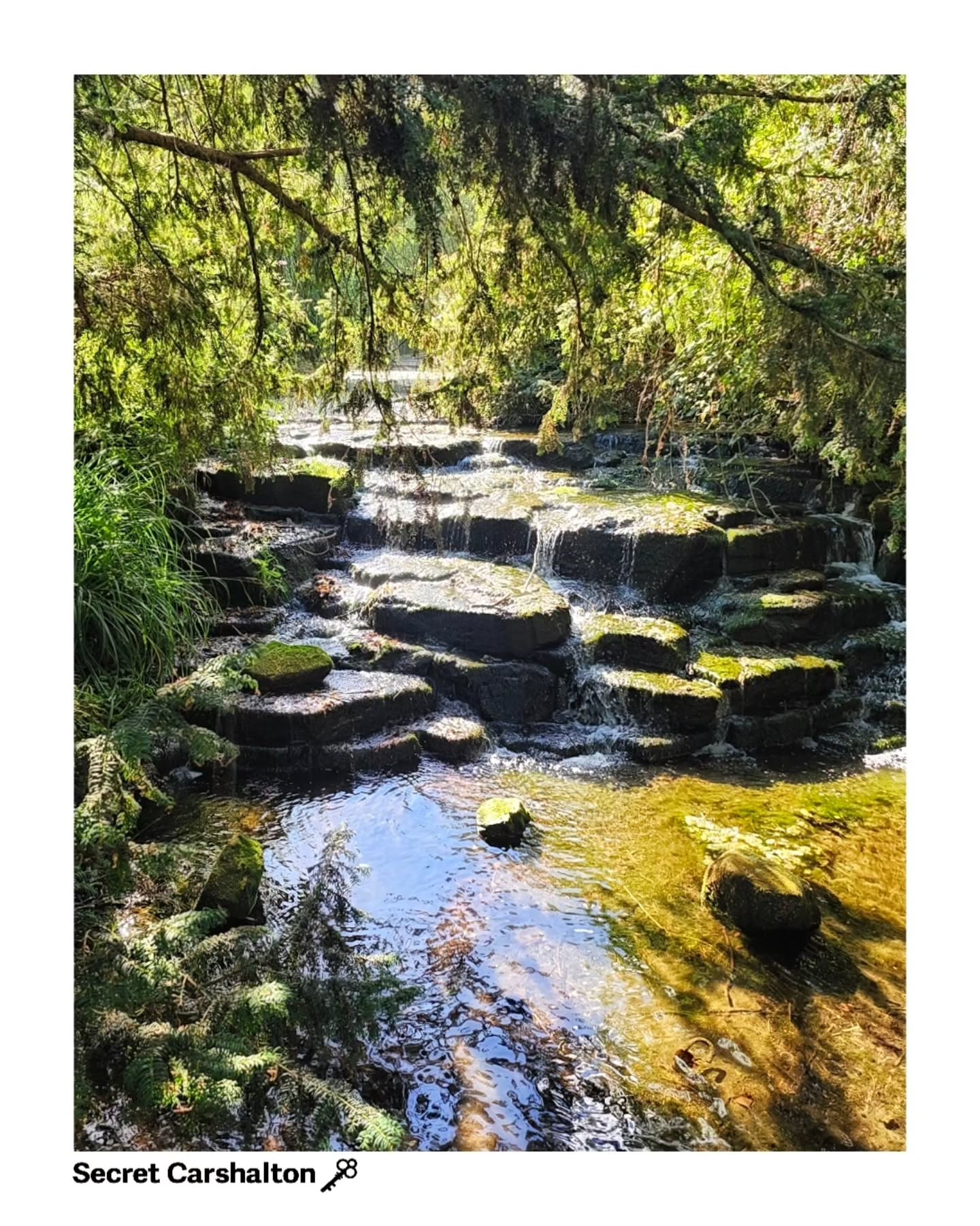 Roll on the weekend. Even with the low water levels the cascade in The Grove still looks nice. For more like this follo…